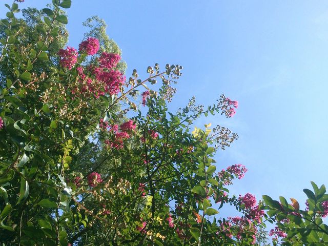 ���Ƌ{�̃T���X�x��_�v�\�R���Ƌ{