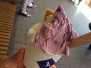 ݂₳̋t@[X̓eʐ^2