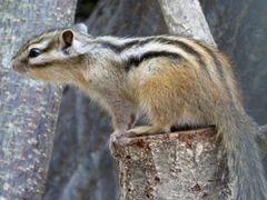 �L���s�������������̎ʐ^1