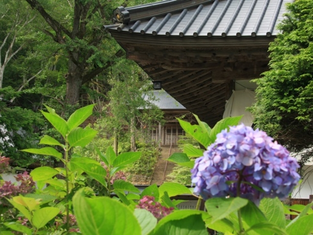 �Ă���̊C�ݎ��̓��e�ʐ^1