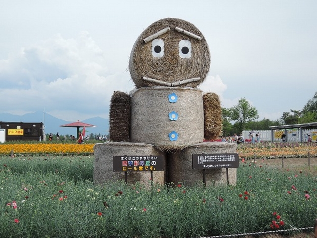 �}�X�R�b�g_�l�G�ʂ̋u