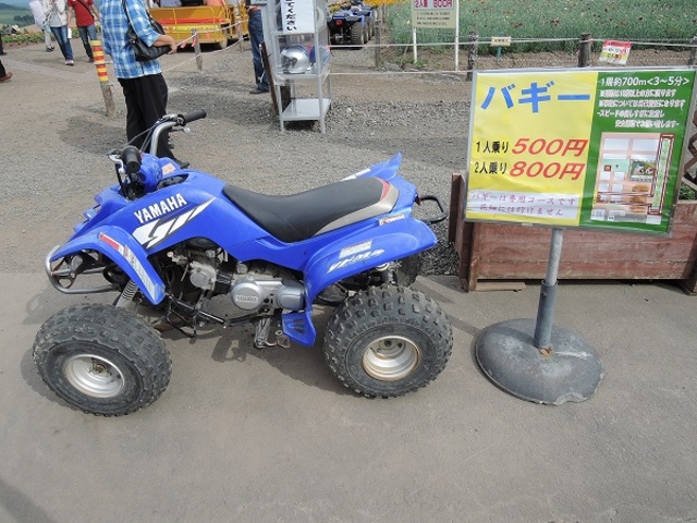 �o�M�[_�l�G�ʂ̋u