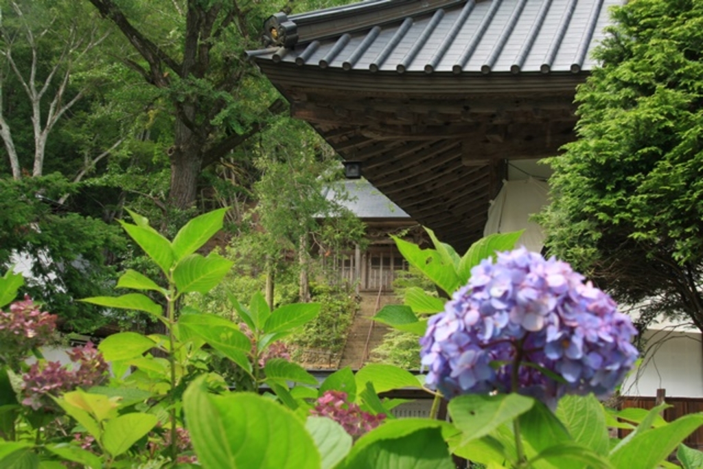 小泉元生 「梨の花咲く頃（南駒岳）中央アルプス」 F６号 甲斐小泉駅周辺の観光スポットランキングTOP10（2ページ目