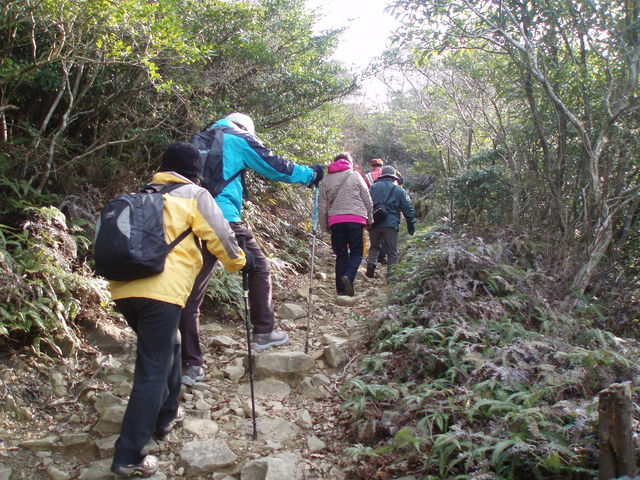 񂿂񂳂̗@߉HR̓eʐ^2