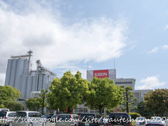 �Ƃ炤�Ă��͂��ނ���̃L�����r�[���@����H��ւ̓��e�ʐ^1