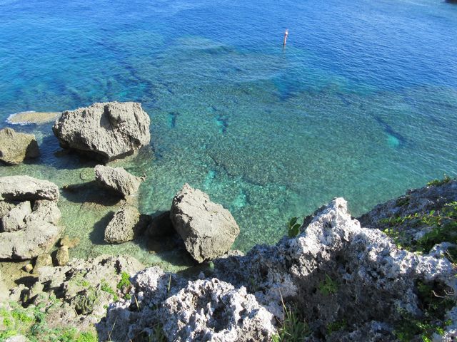 �^���͓����x���Q�̢����C�ł��!!_������