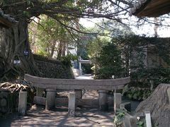 ƂȂ񂳂̍_vւ̓eʐ^1