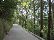 ҂̊⍑RRx{їV̓eʐ^1