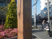 asamiỷBEiXj̓eʐ^1