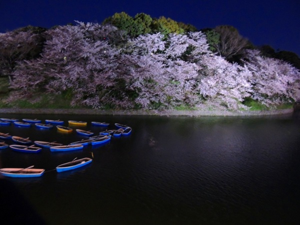 千鳥ケ淵