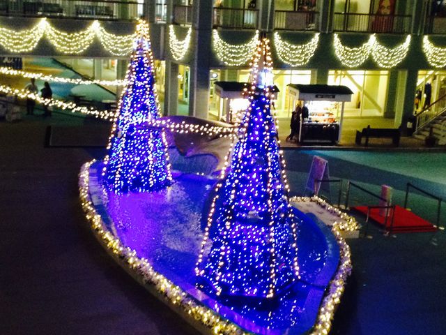 ���Ԃɂ���ăc���[�̐F���ω����܂��B_�O��A�E�g���b�g�p�[�N���l�x�C�T�C�h