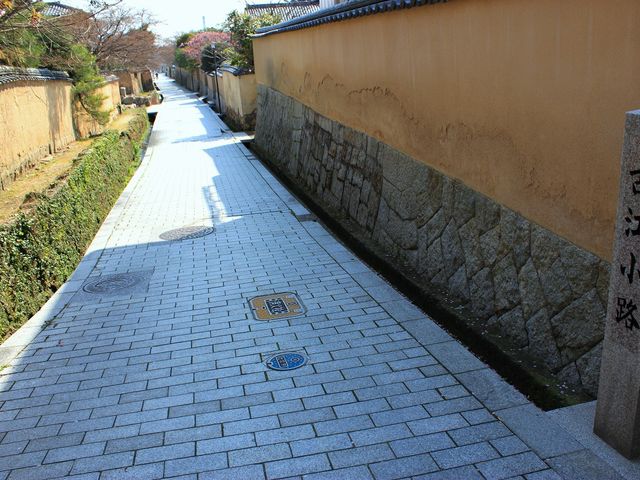 �鉺���̖ʉe��F�Z���c���Í]���H_�鉺�����{