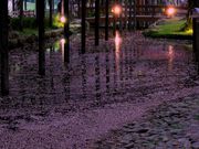 p7777777̓V̓̓eʐ^2