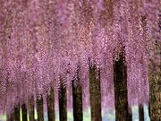 p7777777̓V̓̓eʐ^5