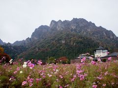 �݂䂫����̕x���s���`�r�W�^�[�Z���^�[�ւ̓��e�ʐ^1