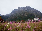 ݂䂫̕xs`rW^[Z^[̓eʐ^1