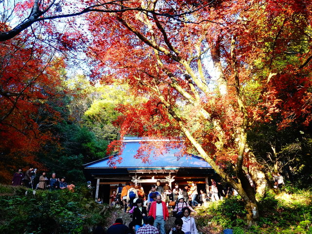 鶏足寺（旧飯福寺）】アクセス・営業時間・料金情報 - じゃらんnet