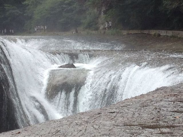 �����̑�