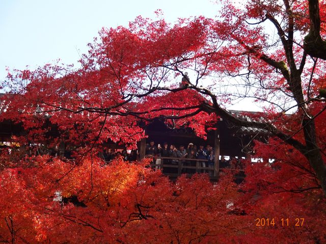 ʓVA뉀N₩ȍgtƒʓV_