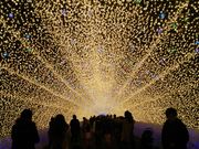 shinsan̂Ȃ΂Ȃ̗̓eʐ^1