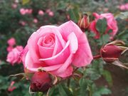 ҂҂҂҂҂҂҂҂҂҂҂҂҂҂҂҂҂҂Ƃ݂̓s_A̓eʐ^1