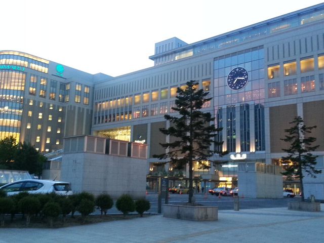 �D�y�X�e���v���C�X