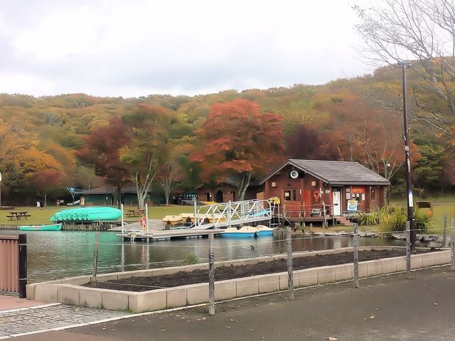 �{�[�g�R�[�i�[_�΃��u����