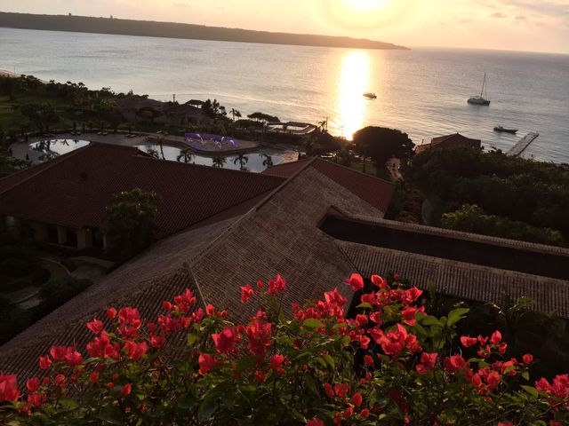 �z�e���̃o���R�j�[�Ƀu�[�Q���r���A���炢�Ă��܂���_�u�[�Q���r���A