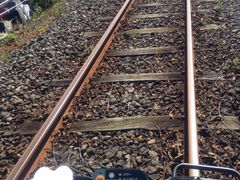 sakã[}EeoCN@f@fIIւ̓eʐ^1