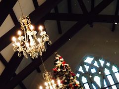 �Ȃ��Ȃ���̃t���C���h���[�u ���c�X�ւ̓��e�ʐ^1