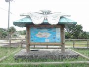 fghdfd����̔�암���̓��e�ʐ^1