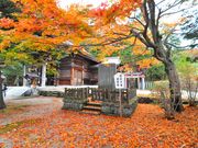 tapumiee̓ߐ{_Ђ̓eʐ^1