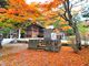 tapumieeさんの那須温泉神社の投稿写真1