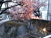 �܂��ǂ���̂����ݍ��̓��e�ʐ^1