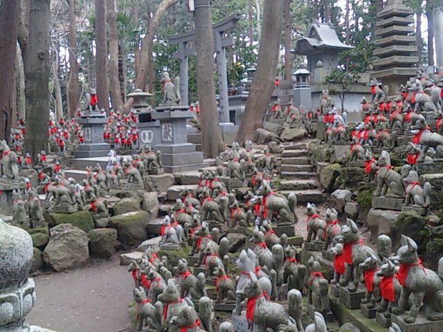 �ϒˁI����͌��鉿�l����I_�L����