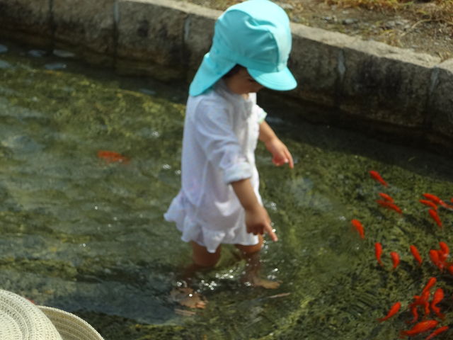 �����̂��݂ǂ�B�Q�Ύ��ɂ͏�����������悤�ł�_�싽���Y�Z���^�[