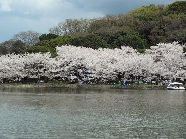 w߂āAy͍GĂ܂B_ɌΌ̍