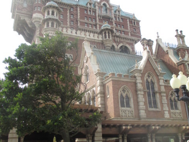 �Ƒ��Q�Ԑl�C�̃^���[�I�u�e���[�I_�����f�B�Y�j�[�V�[(R)