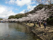 Ђ낳̕ɌΌ̍̓eʐ^1