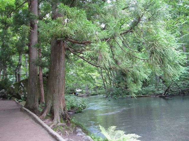 2014�N8��13���B�e�j
�������V����_�������V����