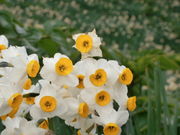 �V���[�`���[����̓单�␅�勽�̓��e�ʐ^1