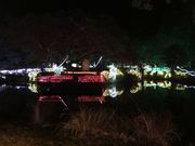 �����̏t������ݗt�A�����i�_���j�̓��e�ʐ^4