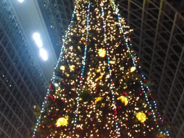 クリスマスツリー_京都駅ビル