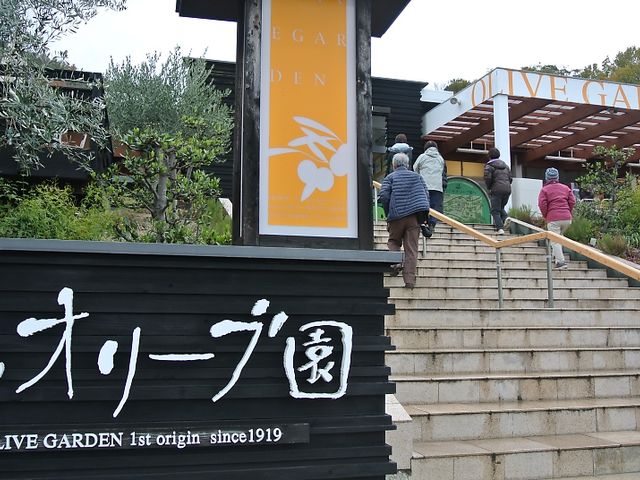 �I���[�u������_�I���[�u��