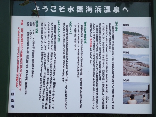 �R�����鉷��̂悤�ł��B_�����C�l����