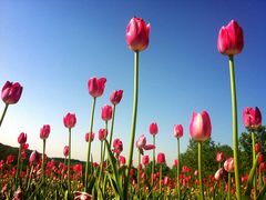 ݁[̍c삷uˌւ̓eʐ^1