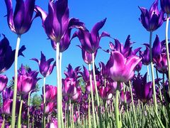 ݁[̍c삷uˌւ̓eʐ^2