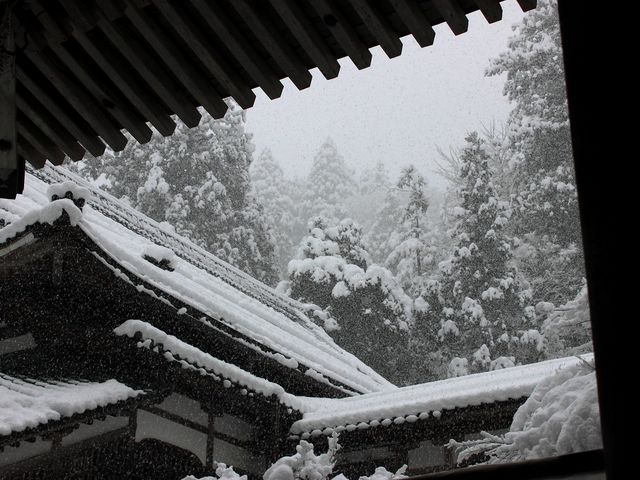 �����@��{�R�i����