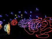 p7777777̖ΔȌ̓eʐ^5