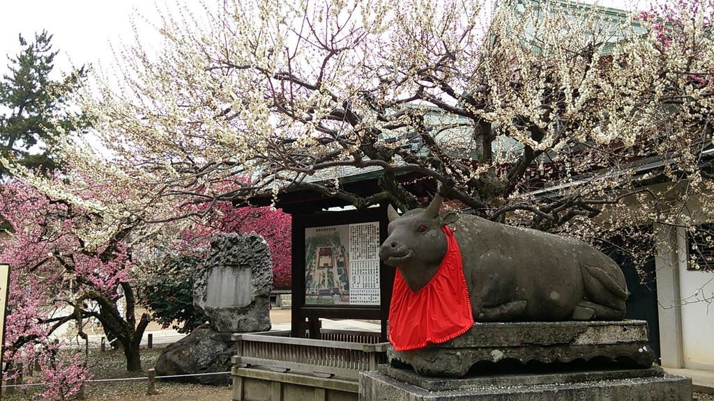 全国 合格祈願におすすめの神社 お寺44選 学問の神様に学業成就を祈ろう 2 じゃらんnet